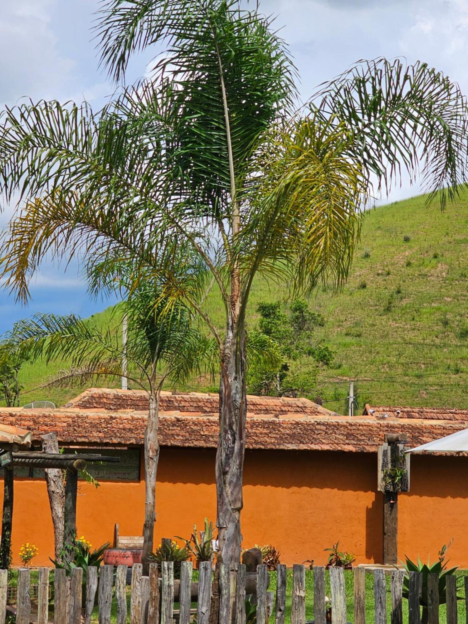 Villa Sitio Reis Membeca à Paraíba do Sul Extérieur photo