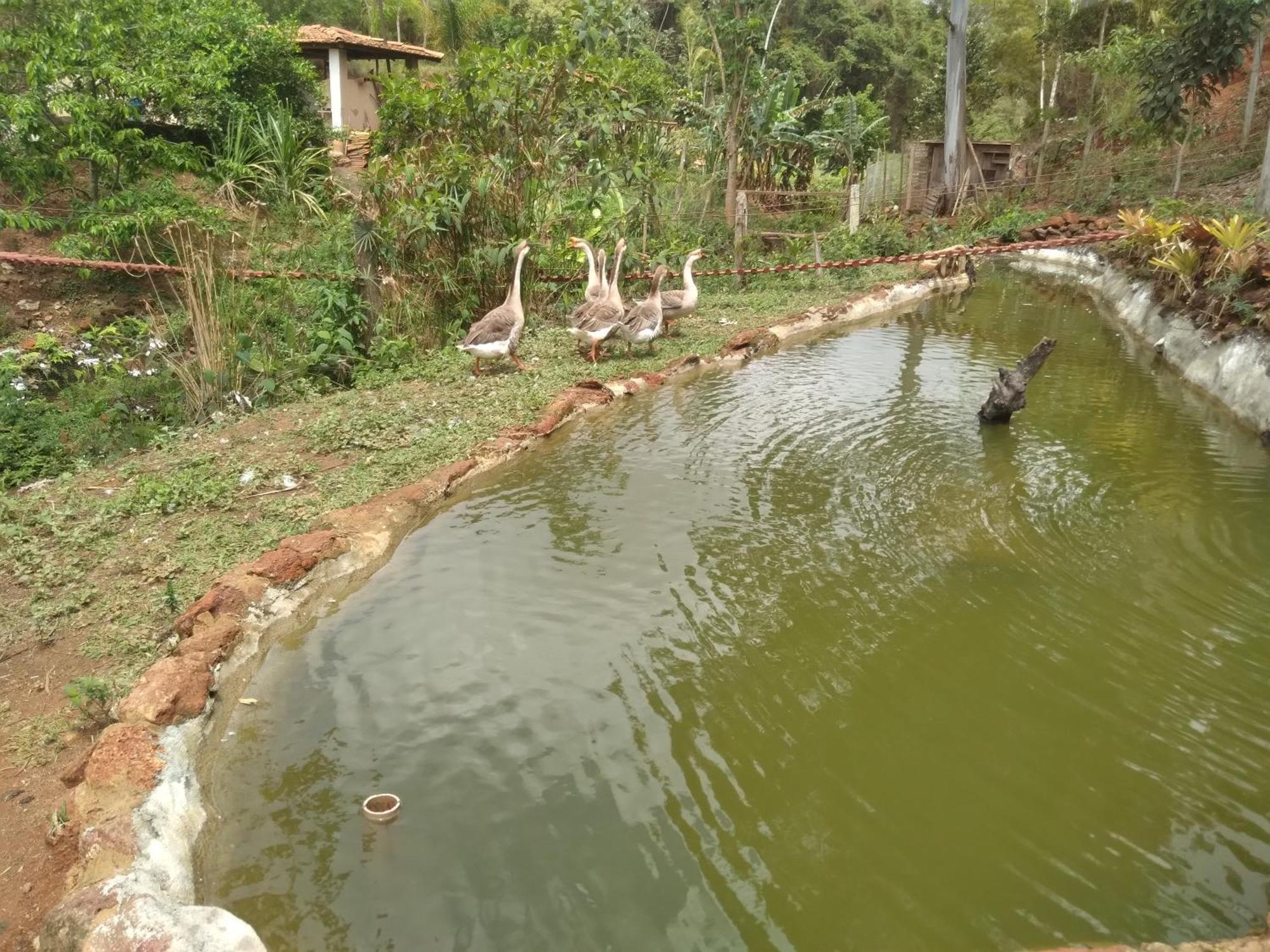Villa Sitio Reis Membeca à Paraíba do Sul Extérieur photo